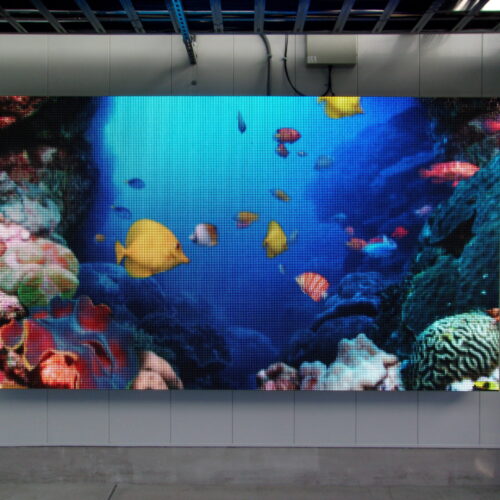 KODAK Digital Still Camera KODAK Digital Still Camera